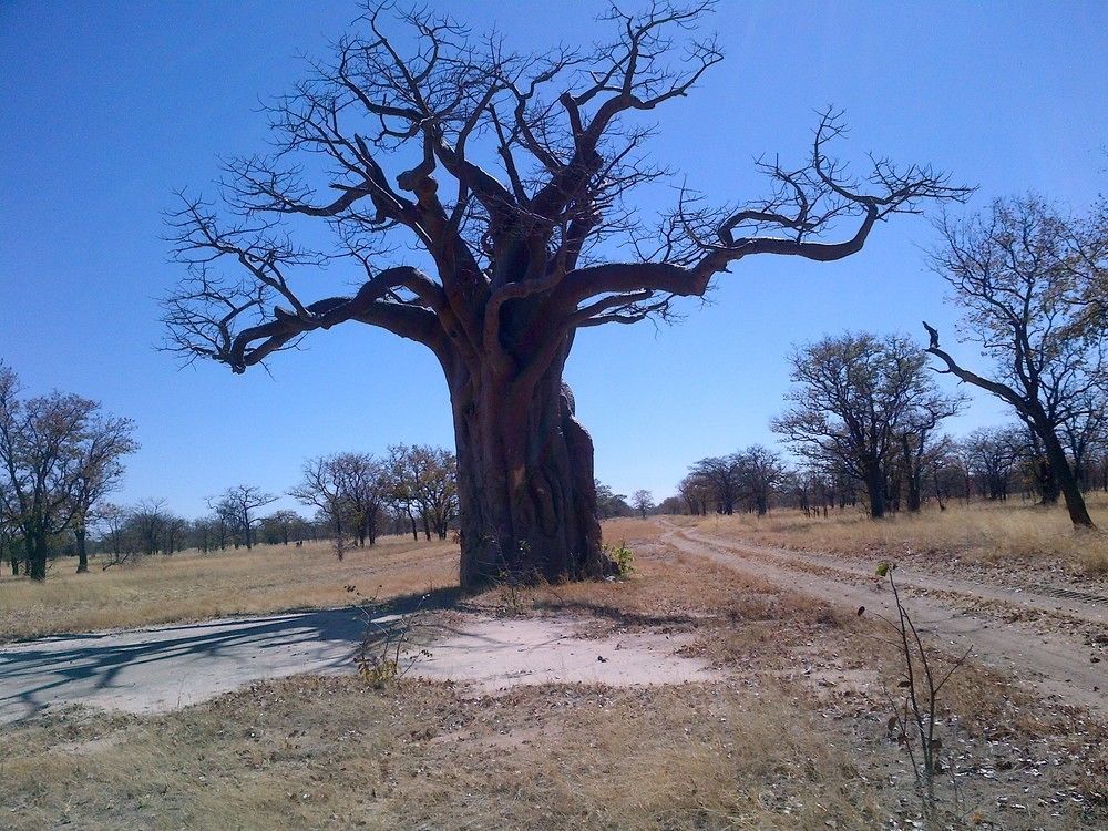 Lesoma Valley Lodge Kasane Esterno foto
