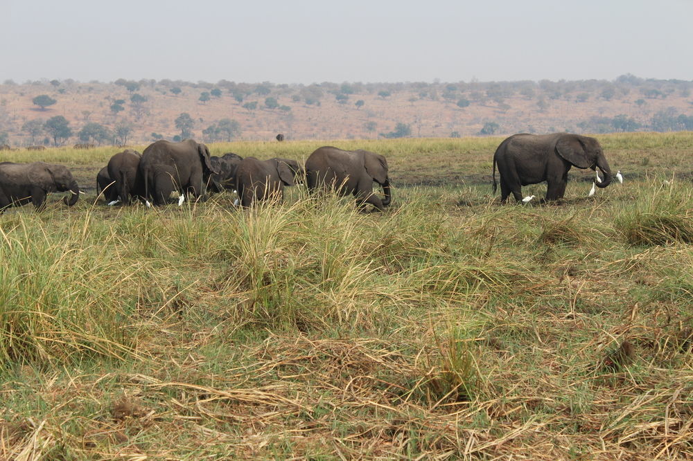 Lesoma Valley Lodge Kasane Esterno foto